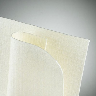 POLYPHENYLENE SULFIDE